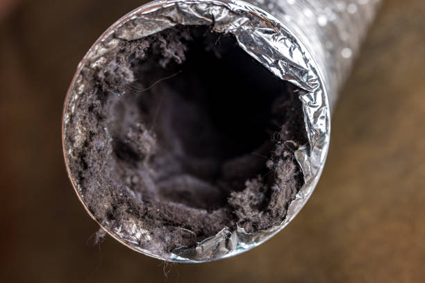 Best Local Air Duct Cleaning Services  in Sutherlin, OR